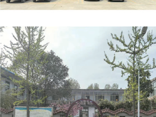 Garden-style Plant Courtyard